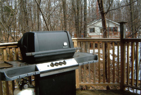 BBQ on deck, picture also shows separate sleeping cabin.